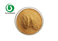 Pure Natural Yucca Herbal Extract Powder 40-60g/100ml