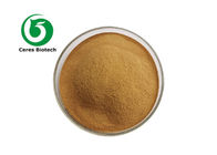 Organic Gynostemma Pentaphyllum Herbal Extract Powder Gypenoside 10%-98%