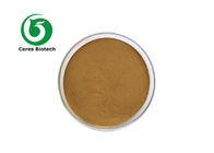 95% Herbal Extract Powder Proanthocyanidins Pine Needle Extract Powder