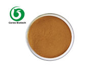 100% Natural Herbal Extract Powder Black Garlic Extract Powder Polyphenol 3%