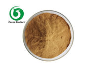 100% Natural Herbal Extract Powder Asparagus Officinalis L. Asparagus Root Extract