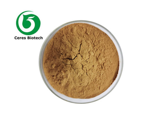 Food Supplement Sugar Maple Extract with Particle Size 100% Though 80 Mesh