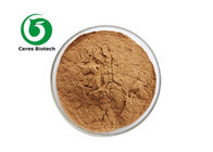 10/1 20/1 Natural Bodhisattva Powder Lygodium Japonicum Extract Powder