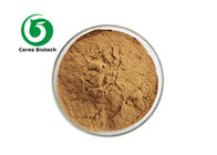 100% Pure Natural Herbal Extract Powder Corn Stigma Extract