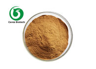 Pure Corosolic Acid Banaba Leaf Extract Powder 20% 98%