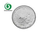 White Powder Natural Protease Digestion Promotion Enzyme Pepsin