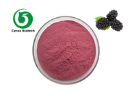 Food Grade Organic Blackberry Fruit Juice Powder Food Additive