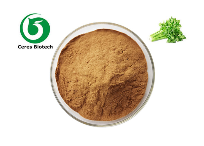 100% Pure Natural Celery Apium Root Extract Powder