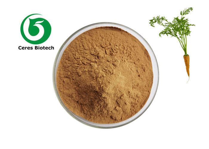 Food Grade Daucus Carota Herbal Extract Powder 100% Purity
