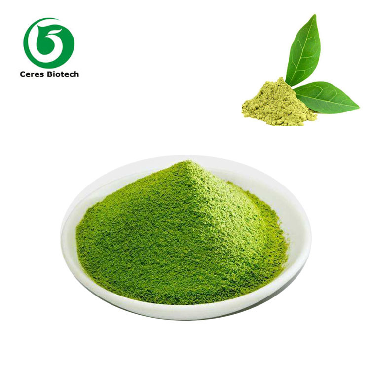 2000 Mesh Matcha Green Tea Powder Extract For Food And Beverage