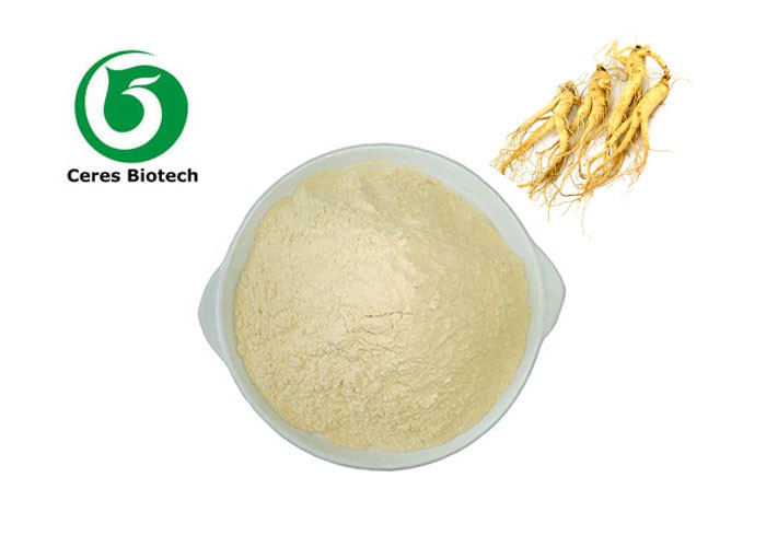 5% To 80% Ginsenoside Ginseng Extract Powder 51542-56-4