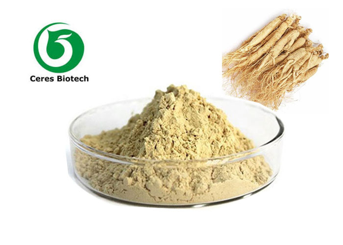 Hot Sale Ginseng Extract Powder With 5% 20% 80% Ginsenosides