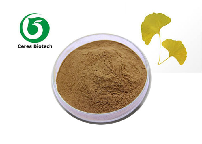 High Quality Pure organic ginkgo biloba extract powder leaf