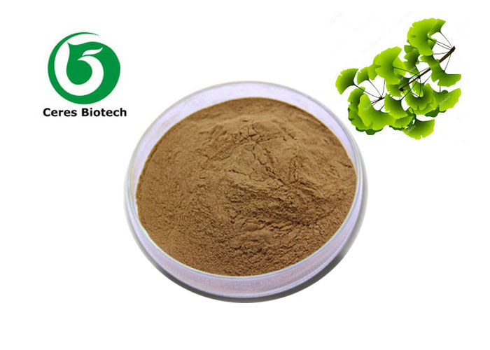 Supply Factory Ginkgo Leaf Extract Powder Ginkgo Biloba Extract biloba 6% 24% extract powder