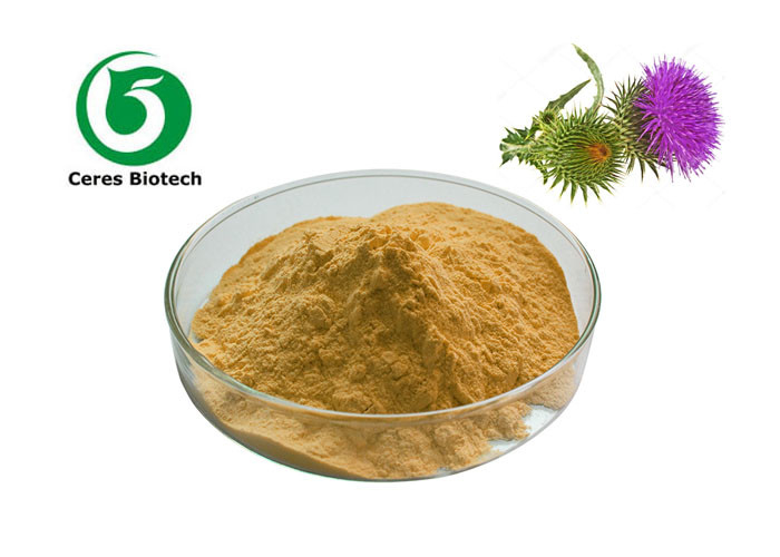 80% Silymarin Milk Thistle Extract Powder Herb Extract Natural Supplement