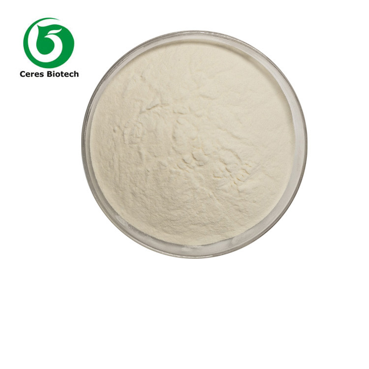 Food Grade L-Carnitine Powder 98% For Health Care