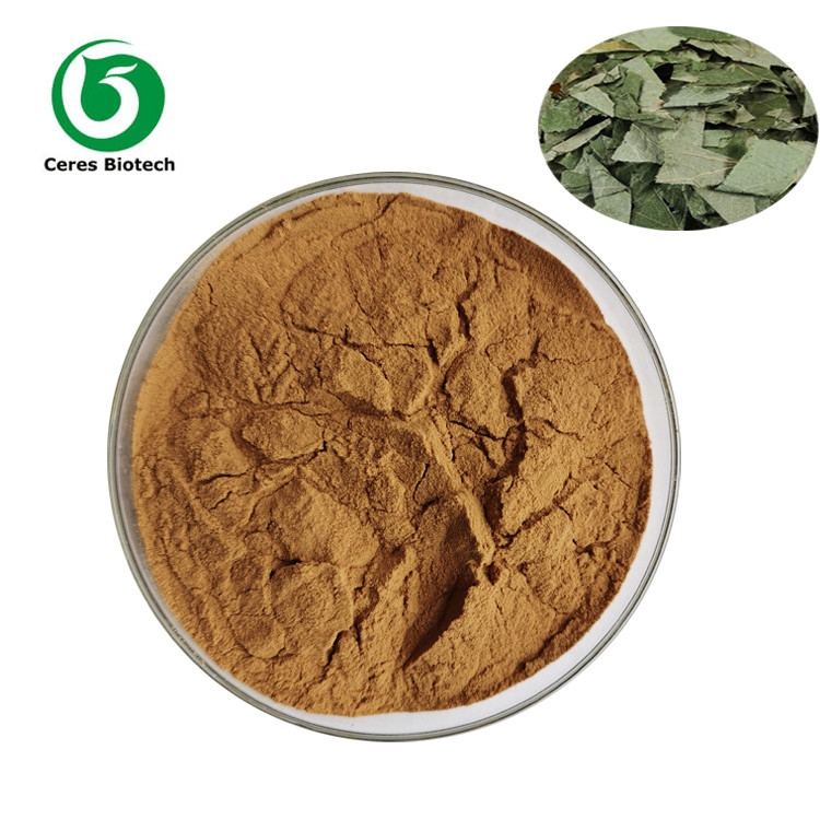 5% - 98% Icariin Natural Epimedium Extract Powder For Pharmaceutical Field