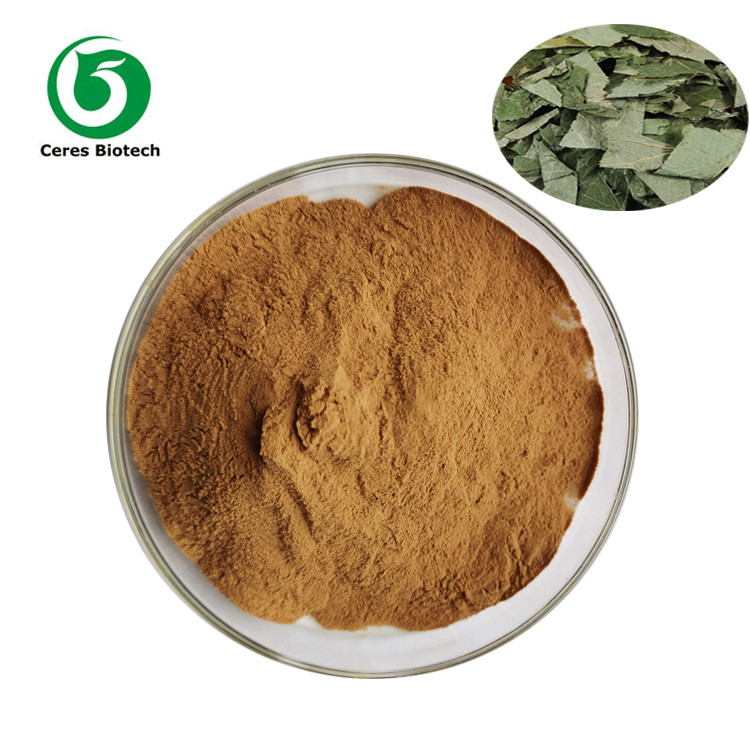 Food Grade Natural Epimedium Extract Icariin Powder 5% - 98%
