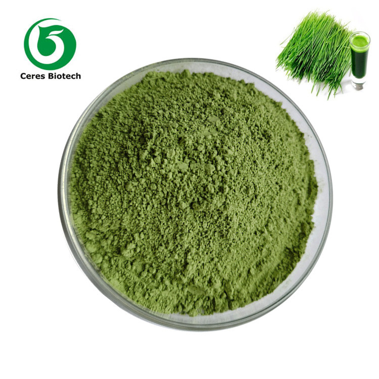 Beverage Dried 100% Wheatgrass Powder For Health Care