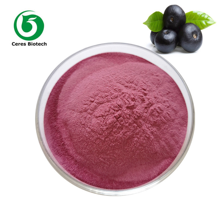 100% Natura Food Grade Acai Berry Powder For Weight Loss