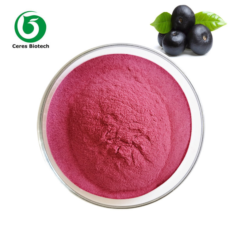 Maqui Berry Fruit Juice Powder Acai Berry Extract Powder For Health Care