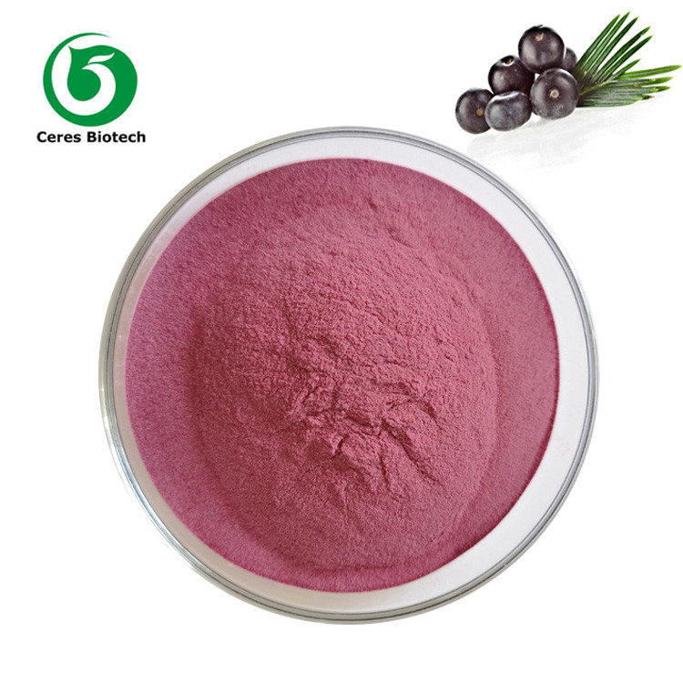 Organic Fruit Extract Acai Berry Juice Powder Food Grade 90%