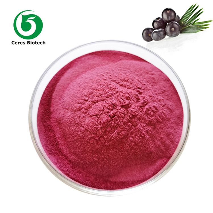 90% Organic Acai Berry Extract Powder For Juice Food Grade
