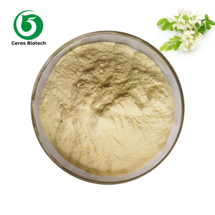 Natural Herbal Extract Powder Sophora Japonica Flower Bud Quercetin Powder 95%