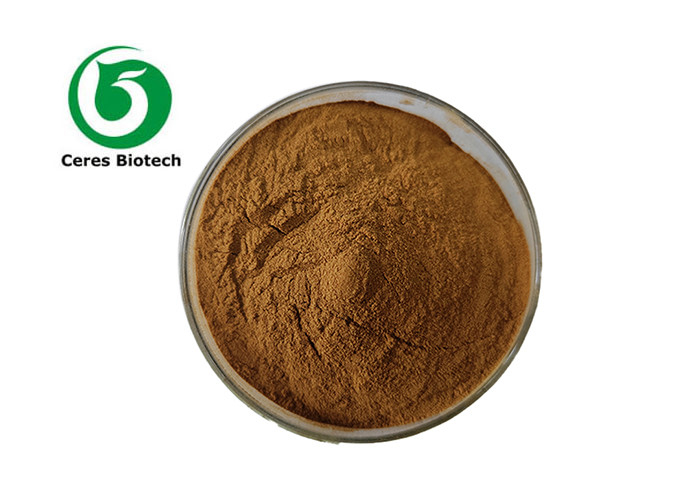 Unleash the Health Benefits of Sugar Maple Extract from Botanic Source Astragalus Membranaceus
