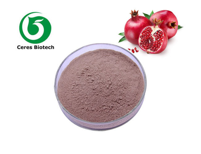 Pomegranate Fruit Juice Powder Gastrointestinal Digestive Health Improvement