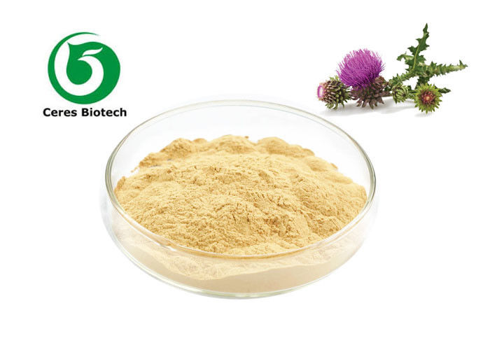 Yellow Silymarin Milk Thistle Extract Powder Silibinin Hplc 90% Anti - Radiation