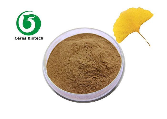 EP Grade Ginkgo Biloba Extract Powder Brown Powder For Healthcare High Efficiency