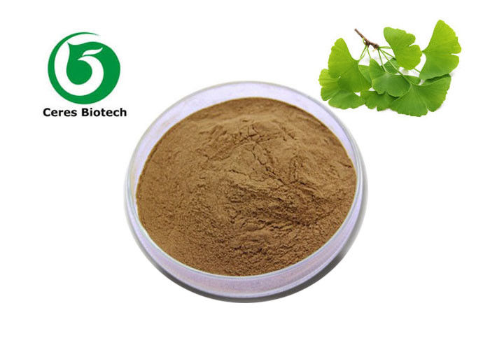 Brown Ginkgo Biloba Extract Powder Nutritional Supplements Raw Material