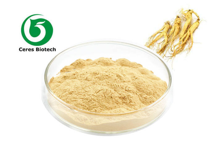 Skin Beauty Korean Ginseng Root Extract Ginsenoside 80% For Health Care