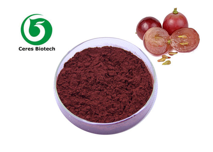 Natural Grapeseed Grape Seed Extract Anti - Oxidant With Opc 95% Solvent Extraction