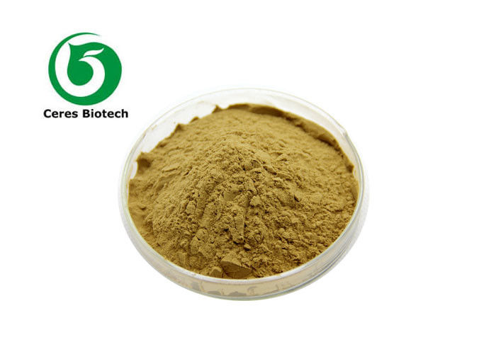 C7H6O5 Gallnut Extract Tannic Acid Cas 1401-55-4 Chemical Industry Grade