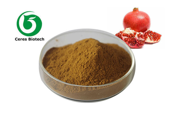 Brown Powder Pomegranate Peel Extract 40% Ellagic Acid Food Pharmaceutical Grade