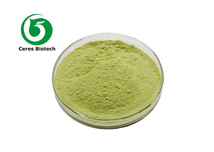 10/1 Pure Natural Herbal Extract Powder Organic Kale Powder