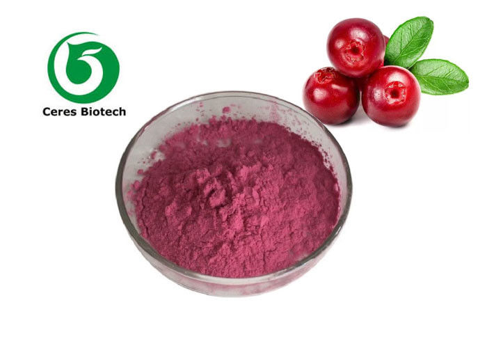 Cranberry Fruit Juice Powder Anthocyanidin Anti - Aging Anti - Cancer Healthy