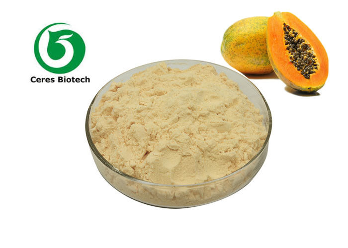Beverage Organic Papaya Powder Food Supplements Light Yellow Powder Healthy