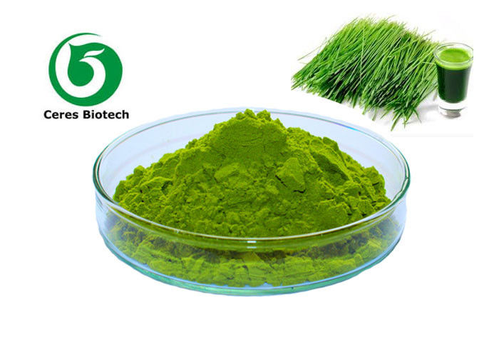 Natural Dried Vegetable Powder Barley Grass Juice Powder 200 Mesh Hordeum Vulgare Linn