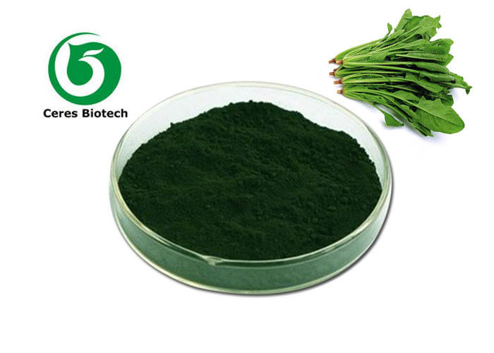 Dark Green Natural Pigment Powder Green Plant Extract Chlorophyll 65963-40-8