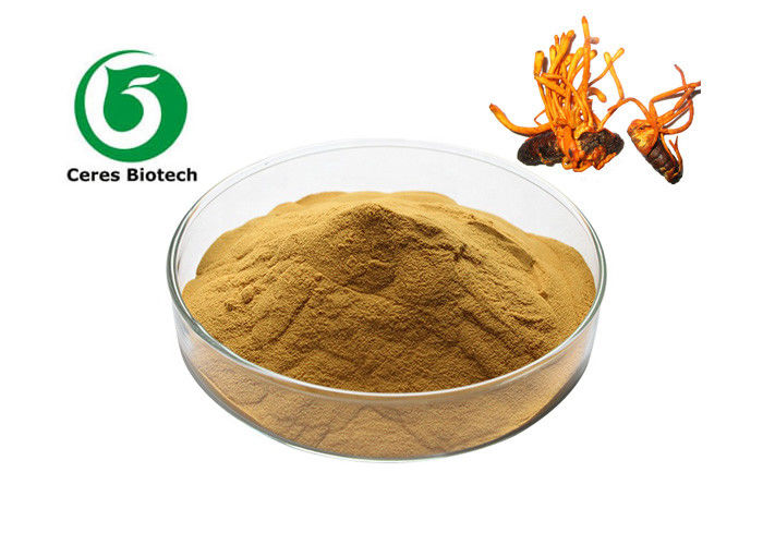 Brown Herbal Extract Powder Cordyceps Mycelia Extract Powder Polysaccharides 30%