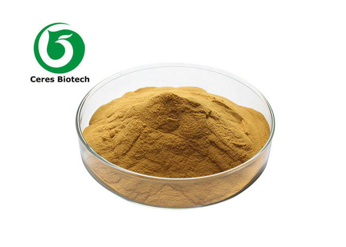 Anti Oxidation Radix Asparagi Herbal Extract Powder