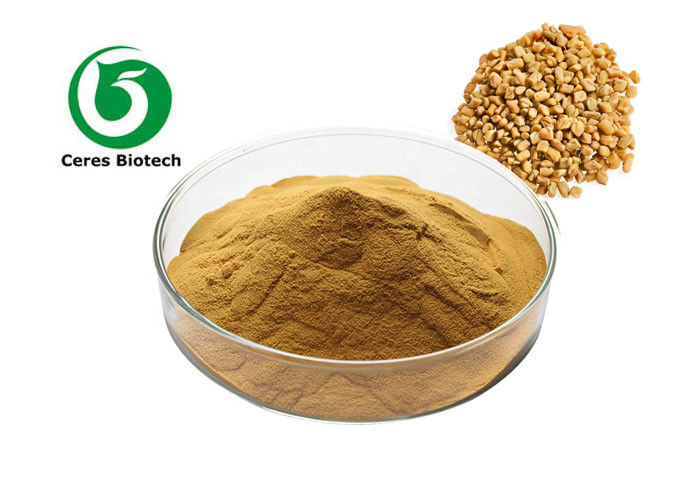 Heath Care Fenugreek Seed Herbal Extract Powder