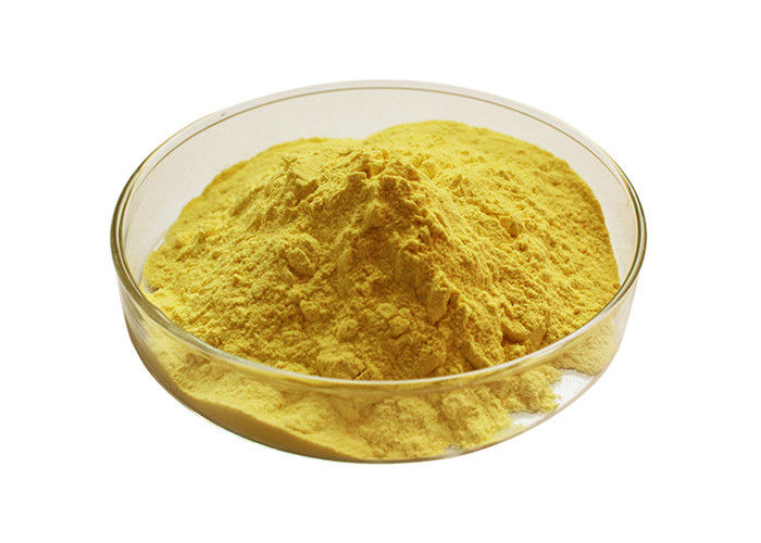 Natrual Golden Seal Root Extract Powder Berberine 10%- 98%