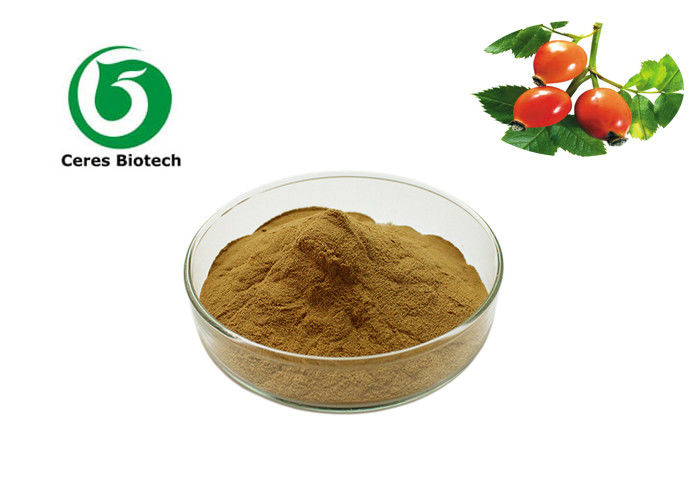 Pure Natural Herbal 5%VC Rosehip Extract Powder with Antioxidation Function