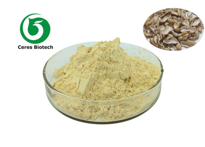 Natural Health Care Products Horseradish Root Extract Powder 10/1 20/1