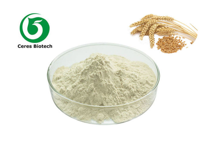 Oat Beta Glucan 70% 80% 90% Herbal Extract Powder