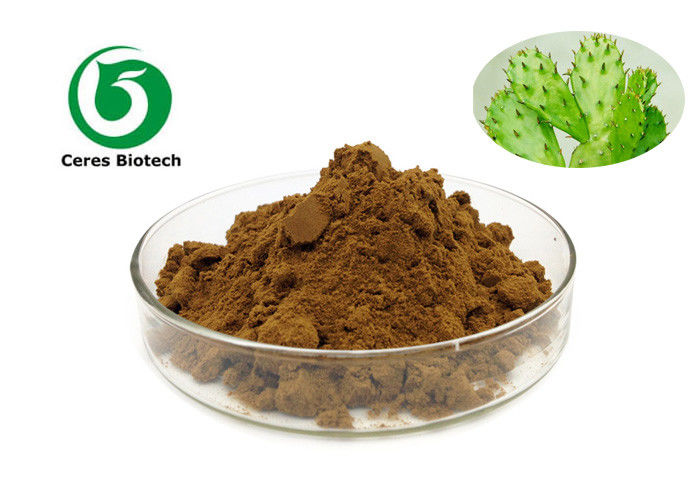 Anti Inflammatory Natural Prickly Pear Herbal Extract Powder